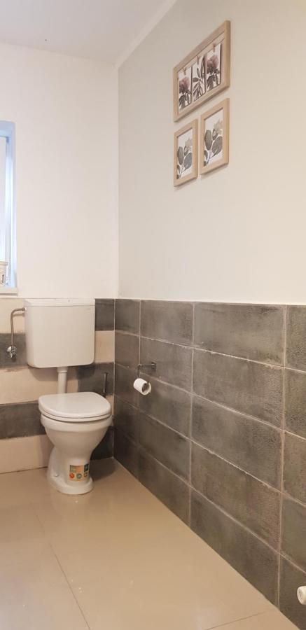 شقة Casa Zorilor Cluj المظهر الخارجي الصورة